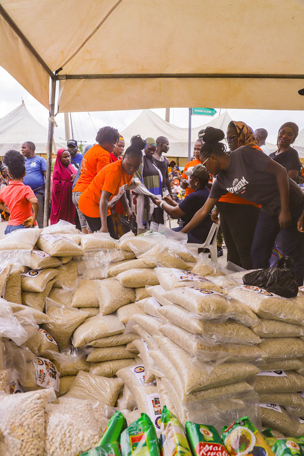 PL Foundation Gallery Image 3